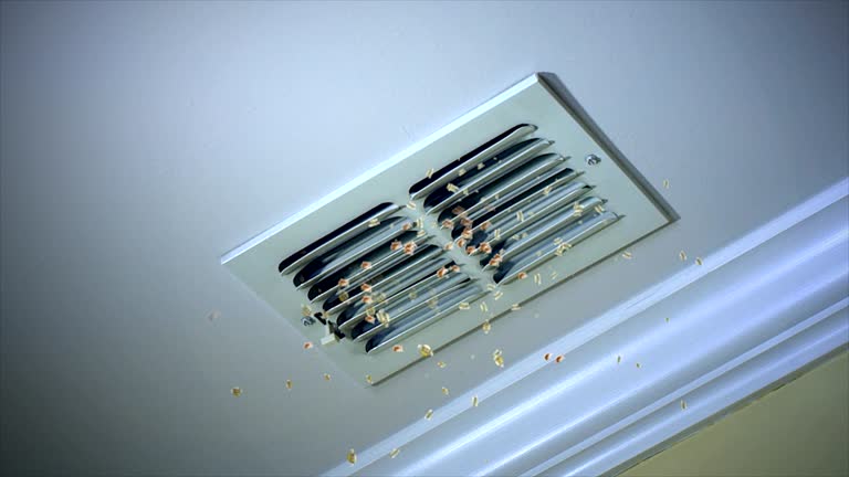 Best Air Duct Cleaning Near Me in Montz, LA
