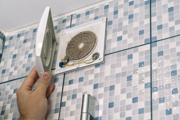 Air Duct Mold Removal in Montz, LA