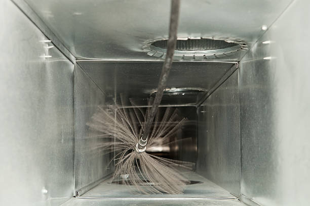 Best Professional Duct Cleaning Services  in Montz, LA