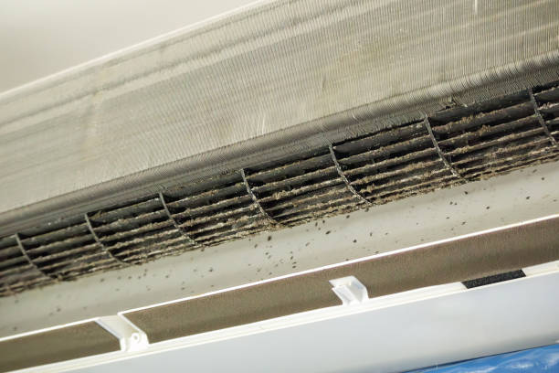 Best Best Air Duct Cleaning Company  in Montz, LA